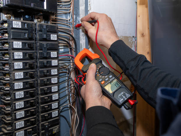 Best Electric Panel Repair  in Steelton, PA